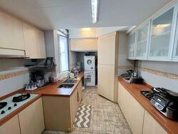 Dunman View (D15), Condominium #507231881